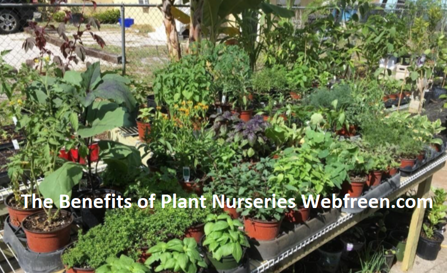 The Benefits of Plant Nurseries Webfreen.com