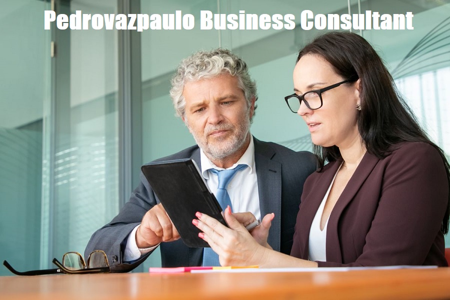 Pedrovazpaulo Business Consultant