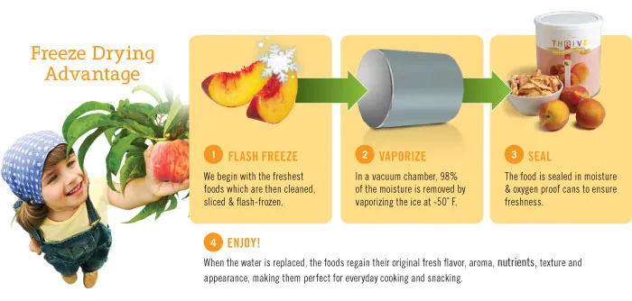 Freeze Bried vs Dehydrated