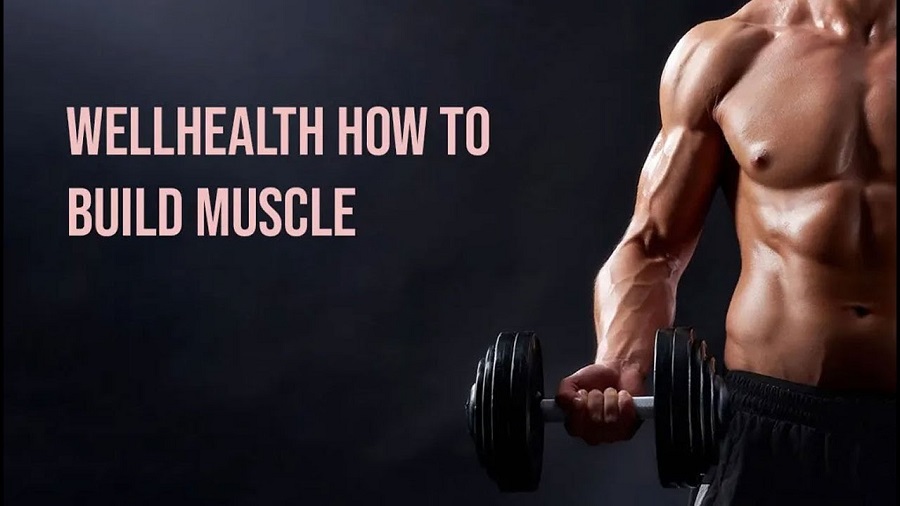 wellhealth how to build muscle tag