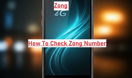 How To Check Zong Number