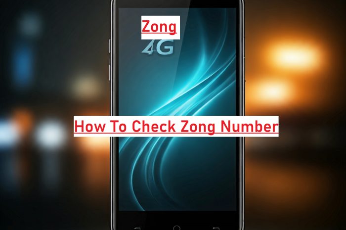 How To Check Zong Number?