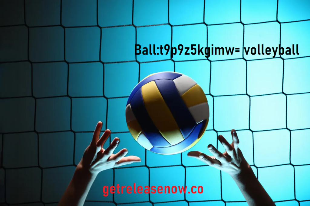 Ball:t9p9z5kgimw= volleyball