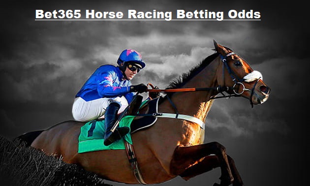 Bet365 Horse Racing Betting Odds